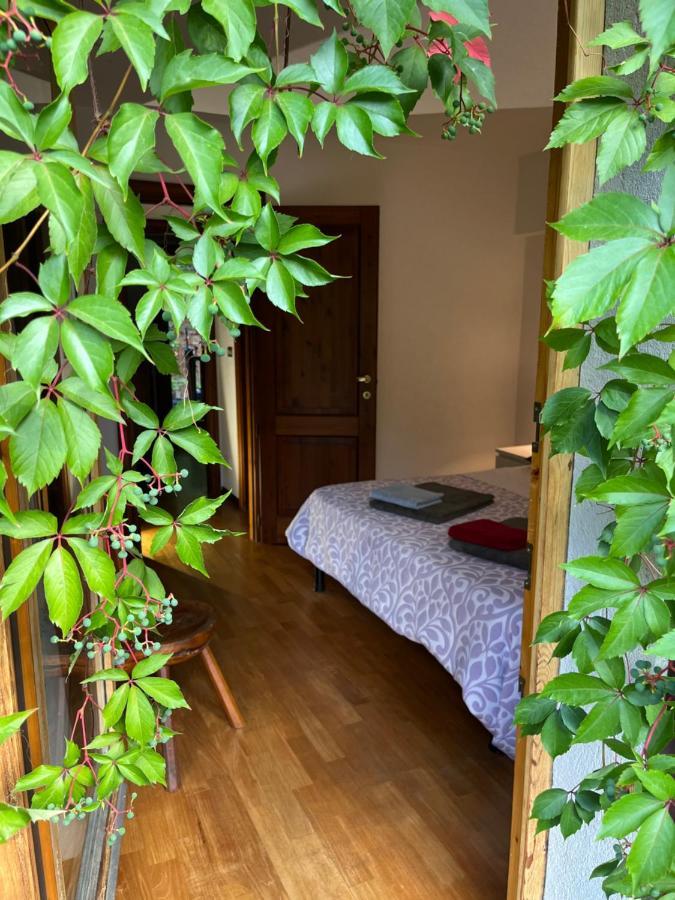 Chalet Blanc "Le Flocon" Courmayeur Buitenkant foto